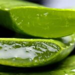 Aloe Vera and its Benefits