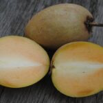 Incredible Health Benefits of Chikoo Fruit