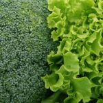 The Secret Broccoli Health Benefits That You Must Know