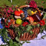 Nutrients and its types