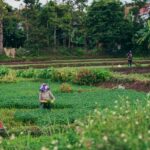 Staying Healthy in Rural Areas - Practical Tips for a Better Lifestyle