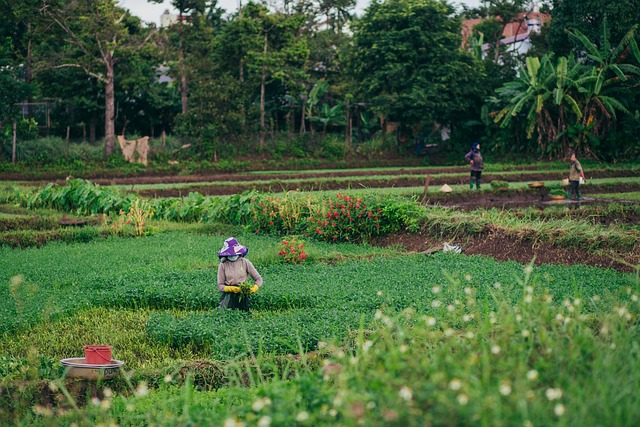 Staying Healthy in Rural Areas - Practical Tips for a Better Lifestyle