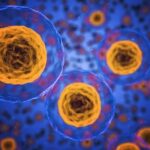 10 Practical Daily Tips for Managing Chronic Illness and Boosting Well-being