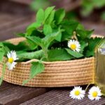 Ayurveda - How Ancient Healing Principles Can Transform Your Daily Life