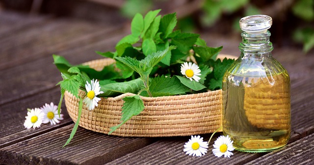 Ayurveda - How Ancient Healing Principles Can Transform Your Daily Life