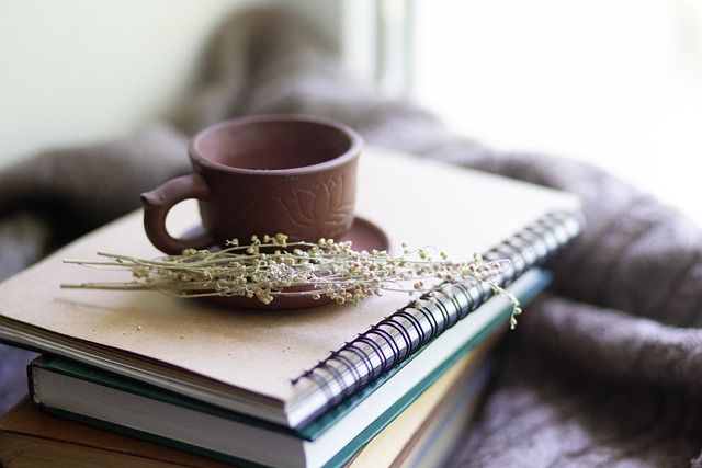 Beginner-Friendly Biohacks for Body and Mind