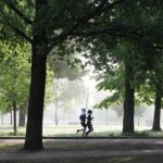 Daily Routines of the World’s Healthiest People