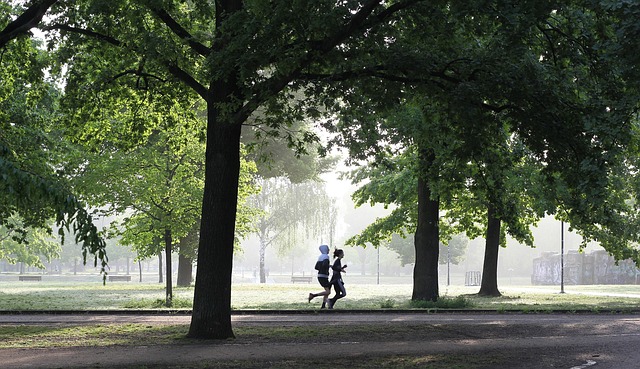 Daily Routines of the World’s Healthiest People