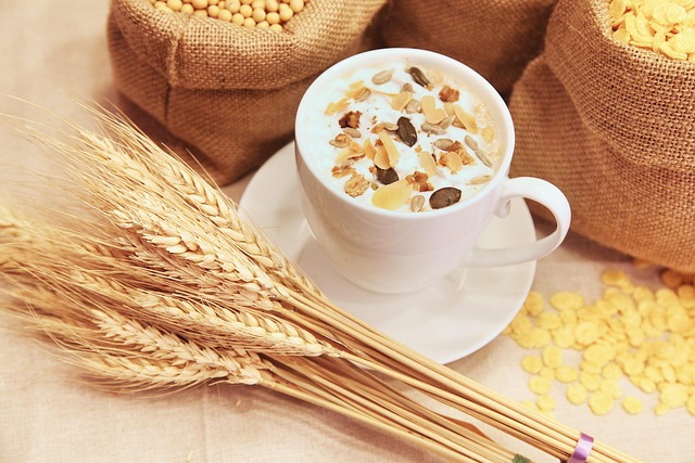 Easy and Nutritious Breakfast Recipes to Start Your Day Right