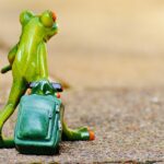 How to Plan a Wellness Getaway - Tips for Stress-Free Travel