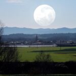 Mindful Morning Routines - Start Your Day With Calm, Not Chaos