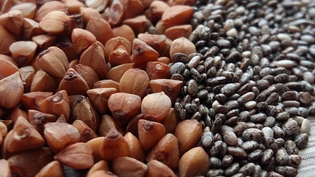 Protein-Packed Diets for Vegetarians and Non-Vegetarians Benefits, Foods and Tips