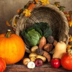 The Best Plant-Based Protein Sources for Vegetarians and Vegans