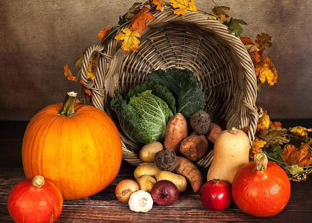 The Best Plant-Based Protein Sources for Vegetarians and Vegans