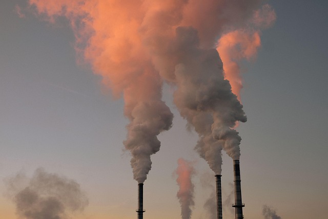 The Hidden Health Dangers in Your Everyday Environment