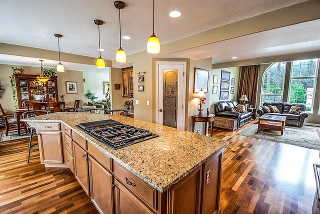 Toxic Homes - How Indoor Pollution Affects Your Wellness and What You Can Do About It
