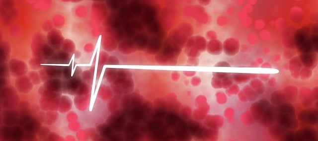 Understanding High Blood Pressure - Causes, Symptoms, and Lifestyle Tips for Control