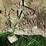 Understanding and Preventing Memory Loss in Seniors - Alzheimer’s and Beyond