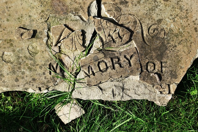 Understanding and Preventing Memory Loss in Seniors - Alzheimer’s and Beyond